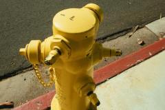 pexels-athena-2962028